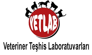 VETLAB Vetriner Teşhis Laboratuvarları